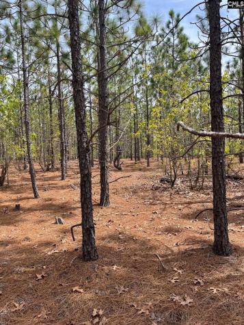 Ca 9 Mt. Calvary Road Ridge Spring SC 29129