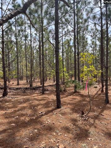 Ca 9 Mt. Calvary Road Ridge Spring SC 29129