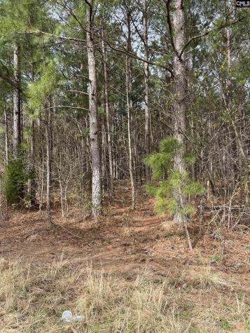 5684 Moses Dingle Road Manning SC 29102