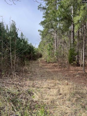 5684 Moses Dingle Road Manning SC 29102