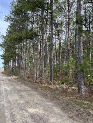 5684 Moses Dingle Road Manning SC 29102