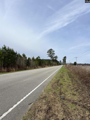 5684 Moses Dingle Road Manning SC 29102