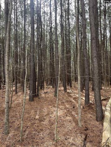 5684 Moses Dingle Road Manning SC 29102