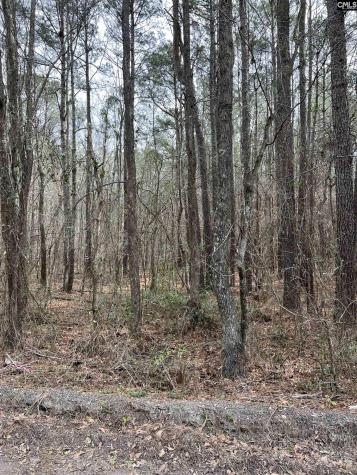 5684 Moses Dingle Road Manning SC 29102