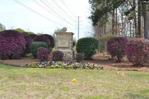 00 Bickley Road Irmo SC 29063