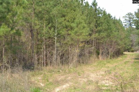 00 Bickley Road Irmo SC 29063