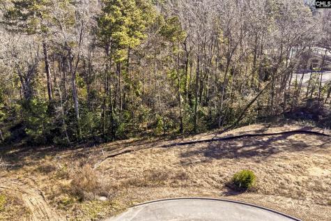 0 Mayhaw Drive Columbia SC 29206-1375