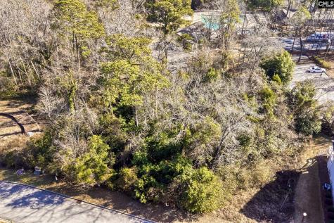 0 Mayhaw Drive Columbia SC 29206-1375