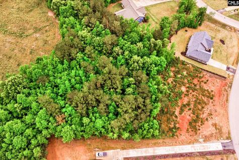 Clouds Creek Circle Leesville SC 29138