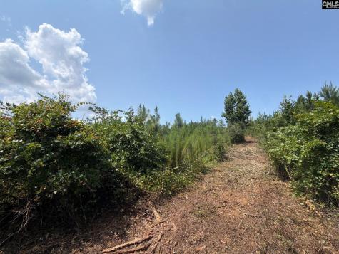 Btf 3 Bradley Trail Jefferson SC 29067