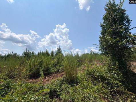 Btf 3 Bradley Trail Jefferson SC 29067