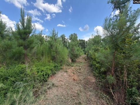 Btf 3 Bradley Trail Jefferson SC 29067