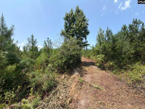 Btf 3 Bradley Trail Jefferson SC 29067
