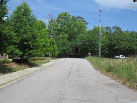 220 Cedarcrest Drive Lexington SC 29072