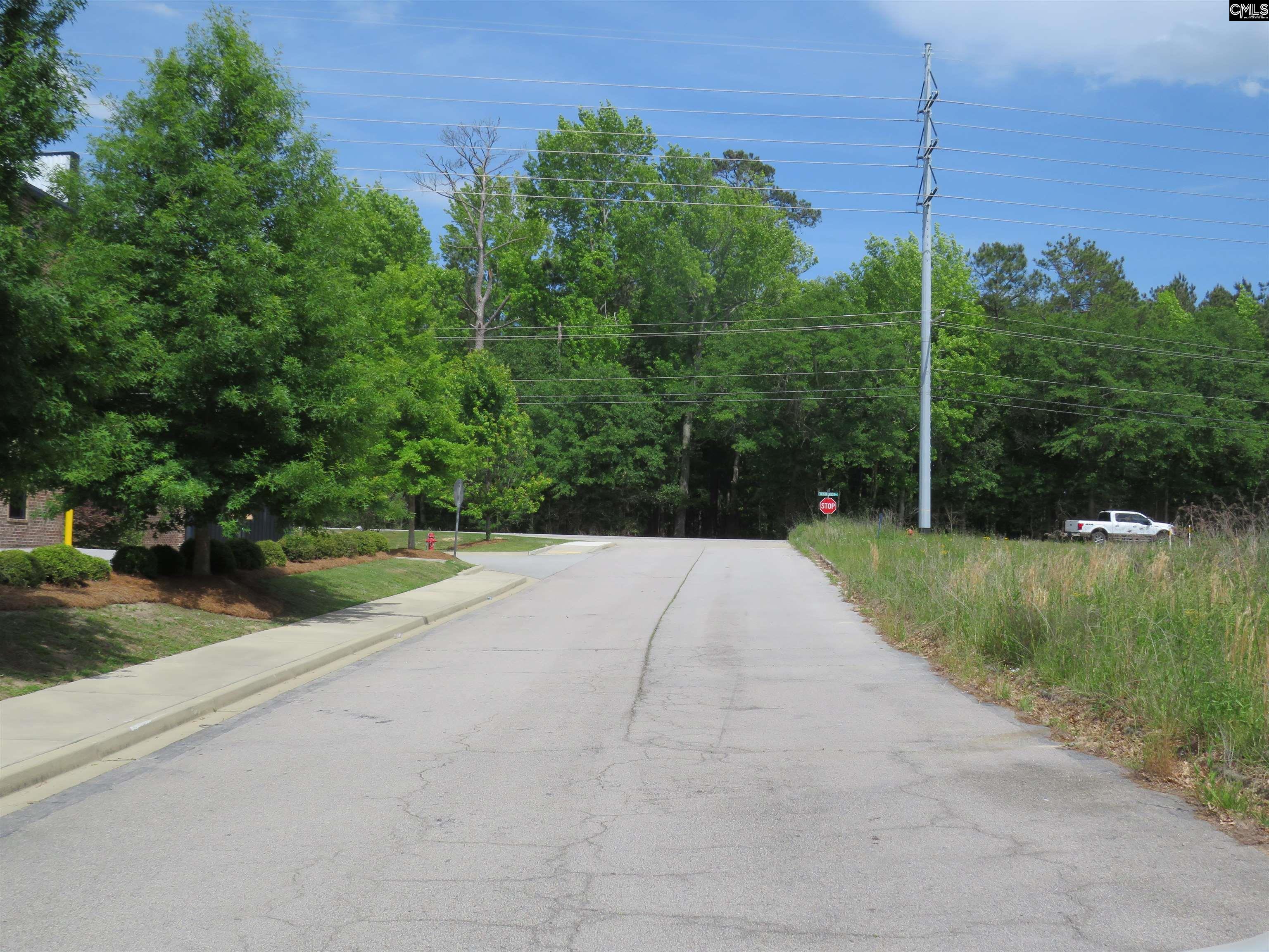 220 Cedarcrest Drive Lexington SC 29072