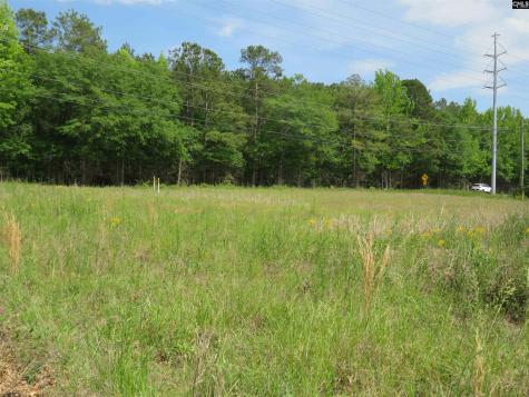 220 Cedarcrest Drive Lexington SC 29072