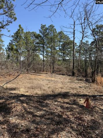 288 Straightaway Lane Gaston SC 29053