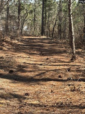 288 Straightaway Lane Gaston SC 29053