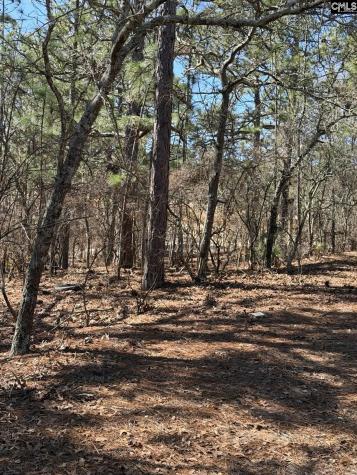 288 Straightaway Lane Gaston SC 29053