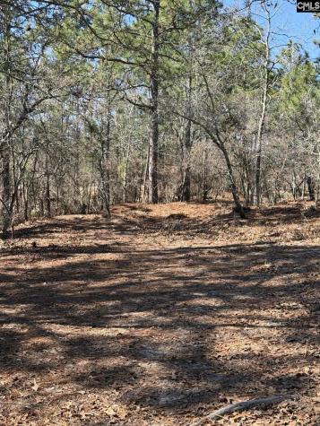 288 Straightaway Lane Gaston SC 29053