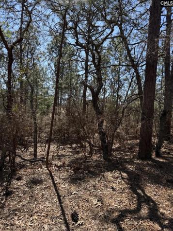 288 Straightaway Lane Gaston SC 29053