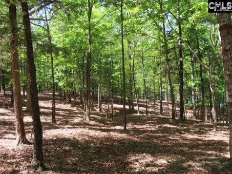 201 Meadowlake Road Blair SC 29015