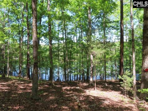 201 Meadowlake Road Blair SC 29015