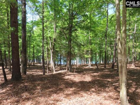 201 Meadowlake Road Blair SC 29015