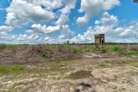 0000 N Brewington Road 2 Manning SC 29102