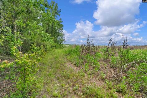 0000 N Brewington Road 2 Manning SC 29102