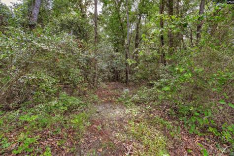 0000 N Brewington Road 2 Manning SC 29102