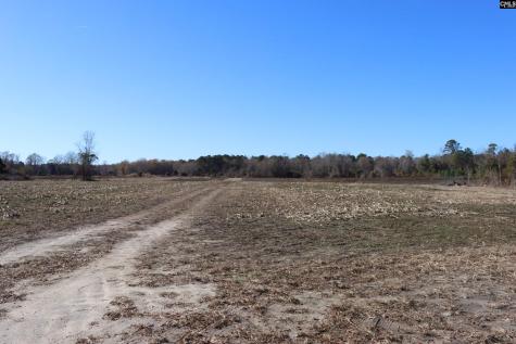 0 Highway 3 Blackville SC 29817