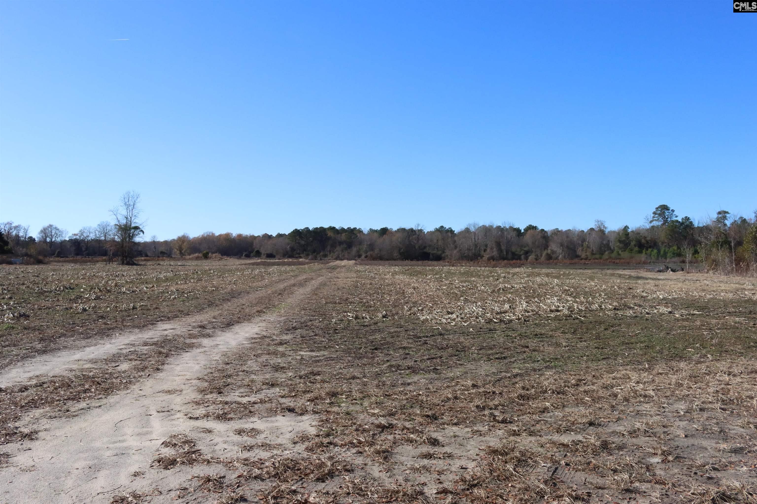 0 Highway 3 Blackville SC 29817