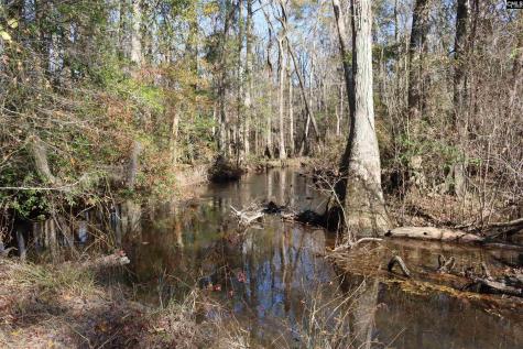 0 Highway 3 Blackville SC 29817