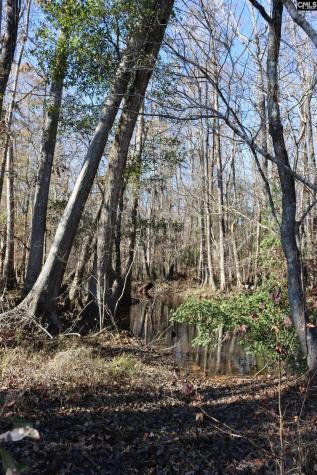 0 Highway 3 Blackville SC 29817