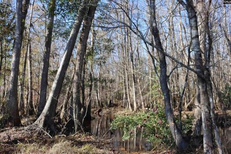 0 Highway 3 Blackville SC 29817