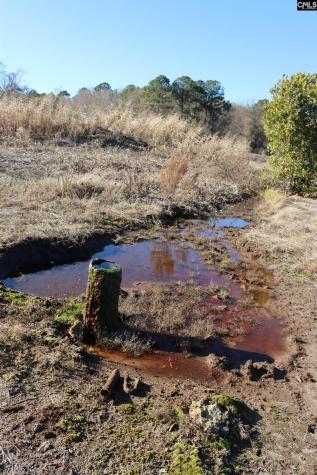 0 Highway 3 Blackville SC 29817