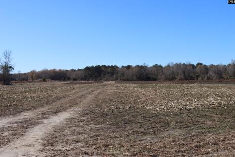 0 Highway 3 Blackville SC 29817