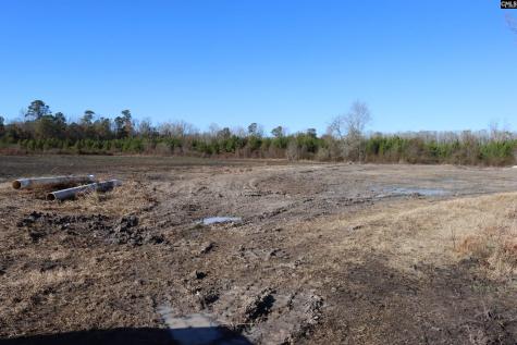 0 Highway 3 Blackville SC 29817