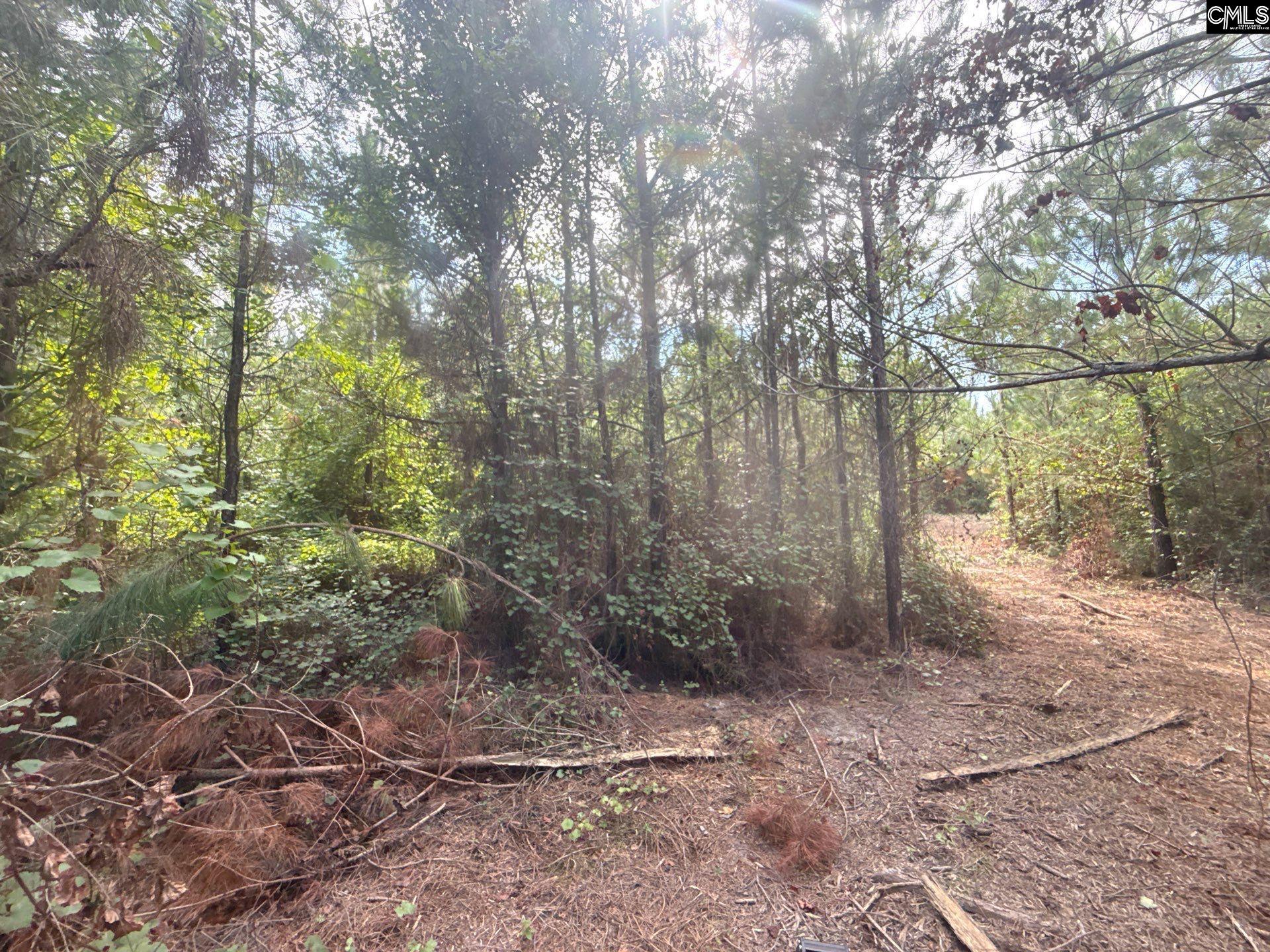 Mpf 2 State Rd S-28-31 Road Jefferson SC 29718