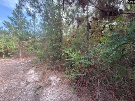 Mpf 2 State Rd S-28-31 Road Jefferson SC 29718