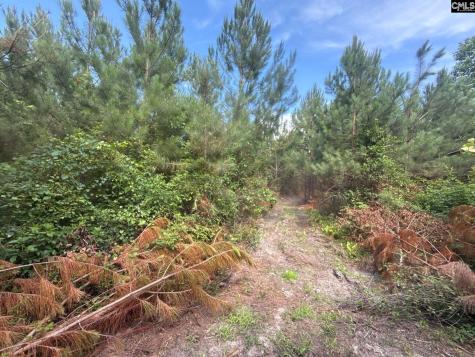 Mpf 2 State Rd S-28-31 Road Jefferson SC 29718