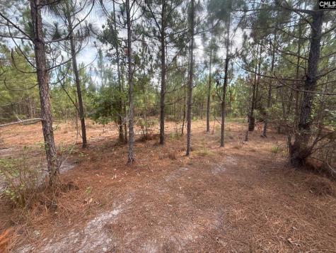 Mpf 2 State Rd S-28-31 Road Jefferson SC 29718