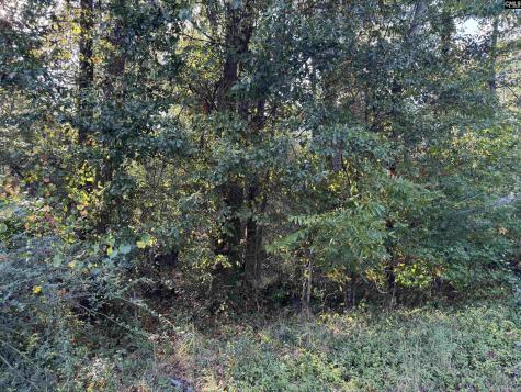 000 Quattlebaum Avenue Ridge Spring SC 29129