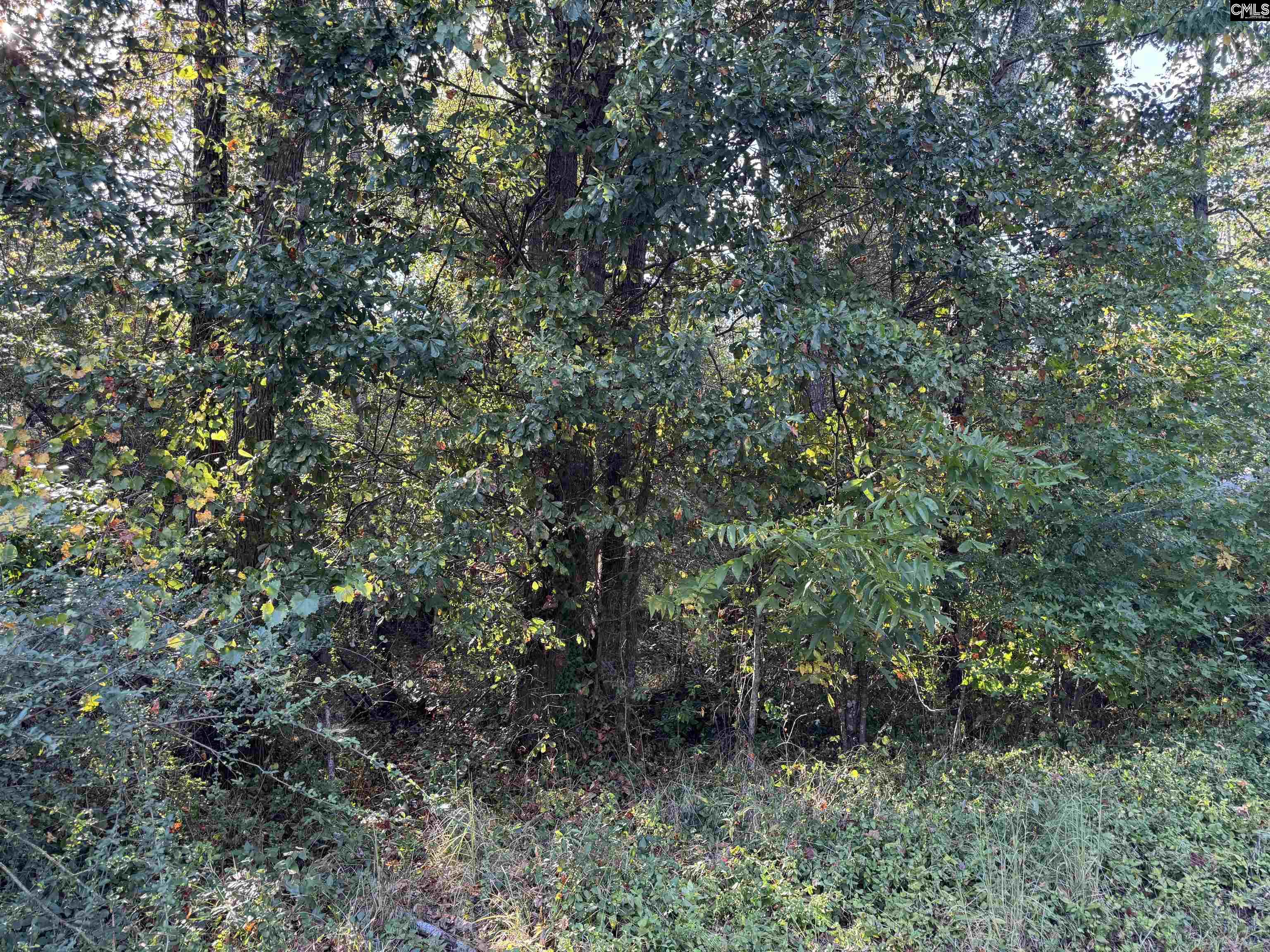 000 Quattlebaum Avenue Ridge Spring SC 29129