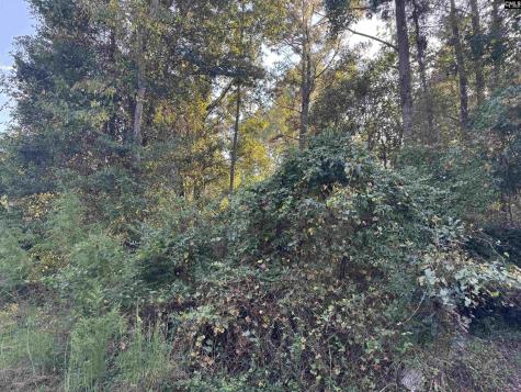 000 Quattlebaum Avenue Ridge Spring SC 29129