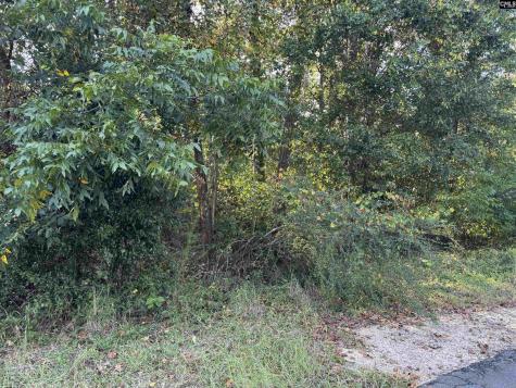 000 Quattlebaum Avenue Ridge Spring SC 29129