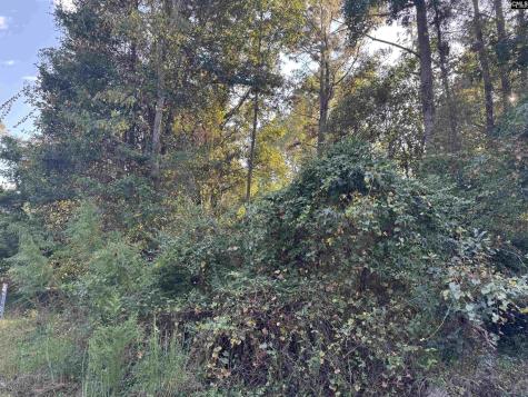 000 Quattlebaum Avenue Ridge Spring SC 29129