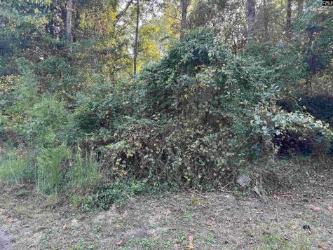 000 Quattlebaum Avenue Ridge Spring SC 29129