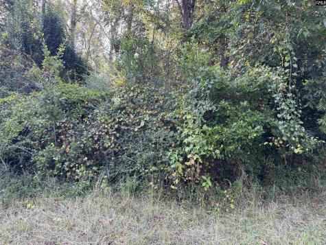 000 Quattlebaum Avenue Ridge Spring SC 29129